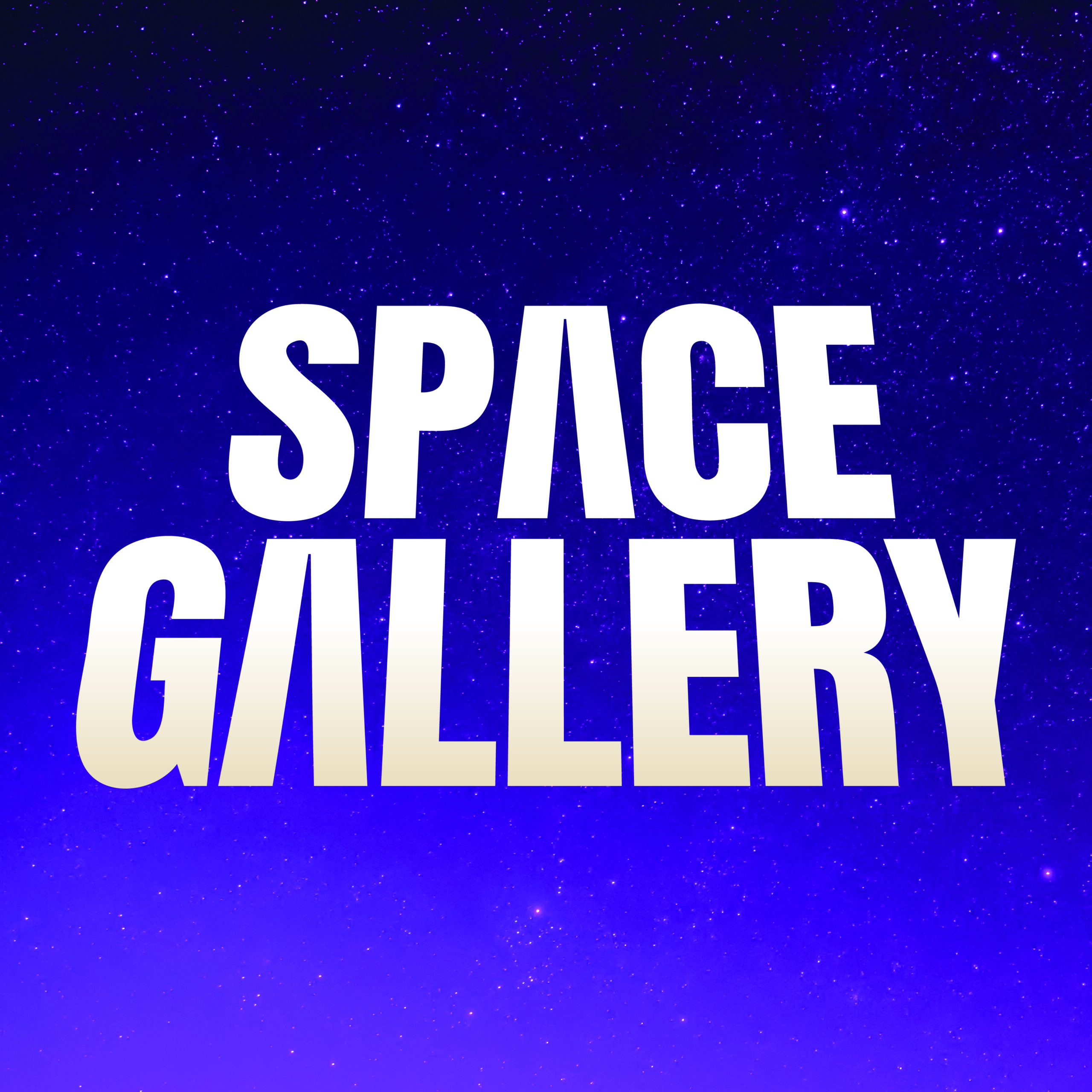 Space Gallery Opening Weekend